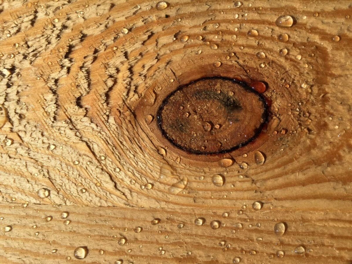 String string Symmetrie Niet essentieel WOODCON HOUT IMPREGNEREN - Maakt hout gegarandeerd waterafstotend